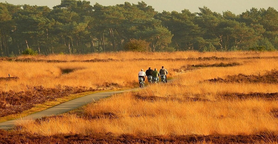 Onze Veluwe Het Nationale Park De Hoge Veluwe